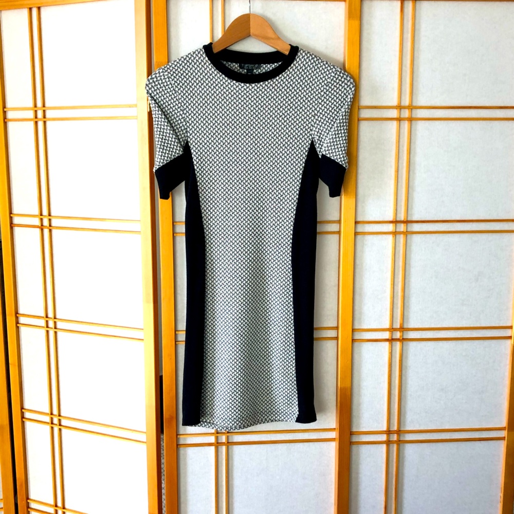 Fitted Mod Dress